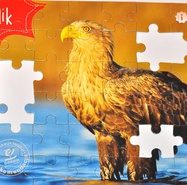 Puzzle Bielik