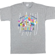 1. Koszulka Kolorowy Szlak Karpia - szara, XL