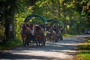 Bryczką w krainie stawów 