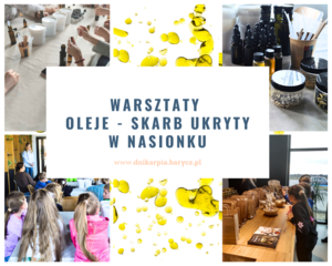 Oleje - skarb ukryty w nasionku