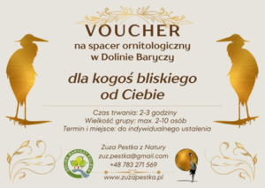 VOUCHER na spacer ornitologiczny / przyrodniczy